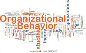 رفتار سازمانی موفق چگونه شکل می گیرد؟